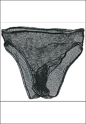 Fishnet Fever (3088)