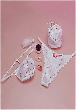 The Lover's Kit The Lover's Kit