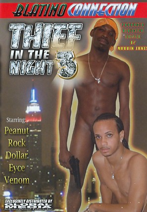 DVD - Thief In The Night 3