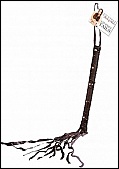 Adult Toys