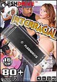 DVD - 100+ Interracial Videos On 16GB USB Flash Drive: Version 1 - Plug and Play