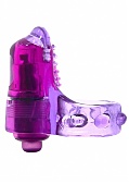 Boss Cocks Collar - Purple (TOY)