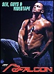 Sex, Guys & Videotape