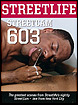 Streetcam 603 (DVD)