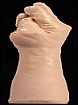 THE HAND-FLESH CD (TOY)