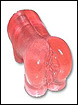 Senso Vagina